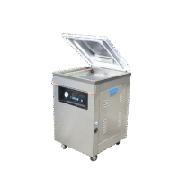 Máy Hút Chân Không 1 Buồng DZQ 6001